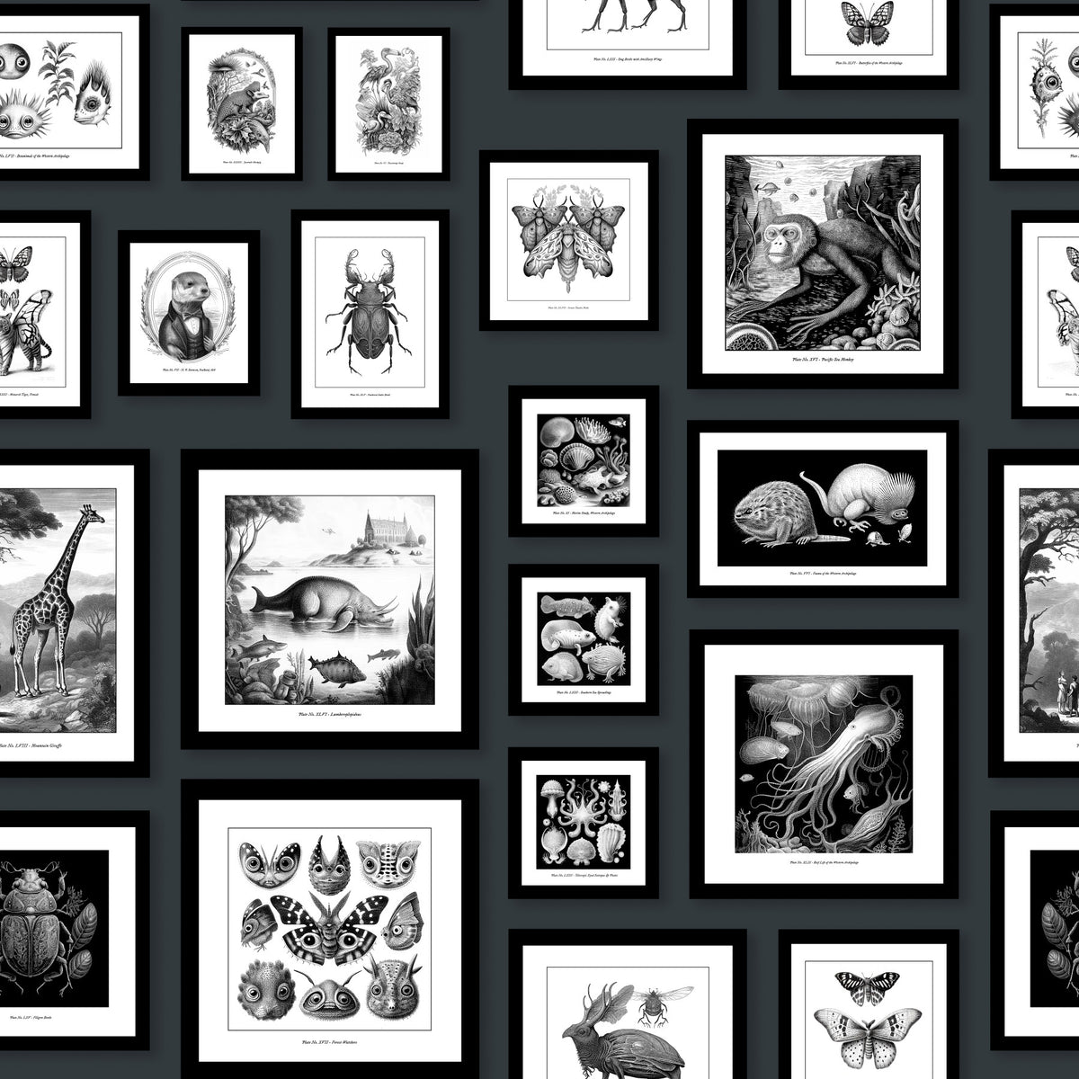 Fantastische Kreaturen - Anthrazit Wallpaper⁠ in your room