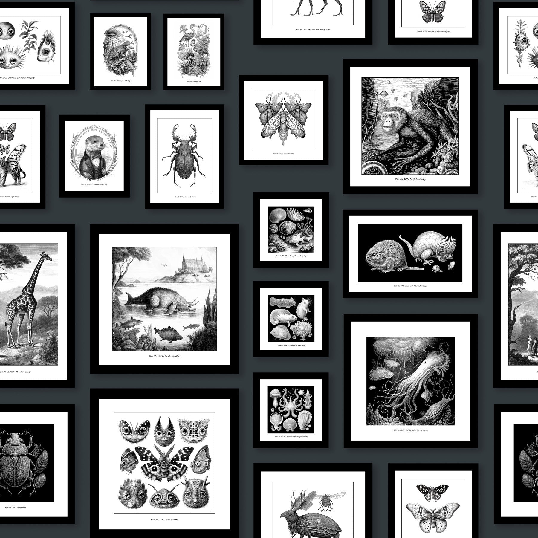 Fantastische Kreaturen - Anthrazit Wallpaper⁠ in your room — zoomed