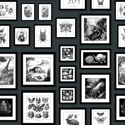 Créatures fantastiques - Fond d'écran anthracite⁠