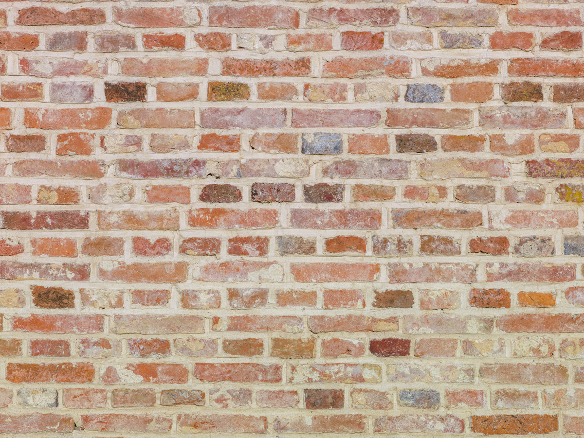 Murale muro di mattoni senza tempo in your room — zoomed