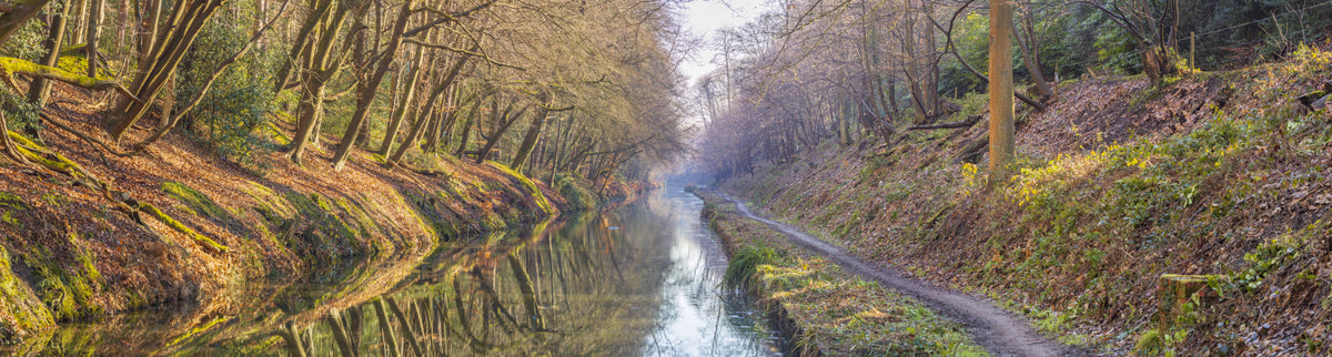 Forest Canal Escape Wall Mural in your room — zoomed