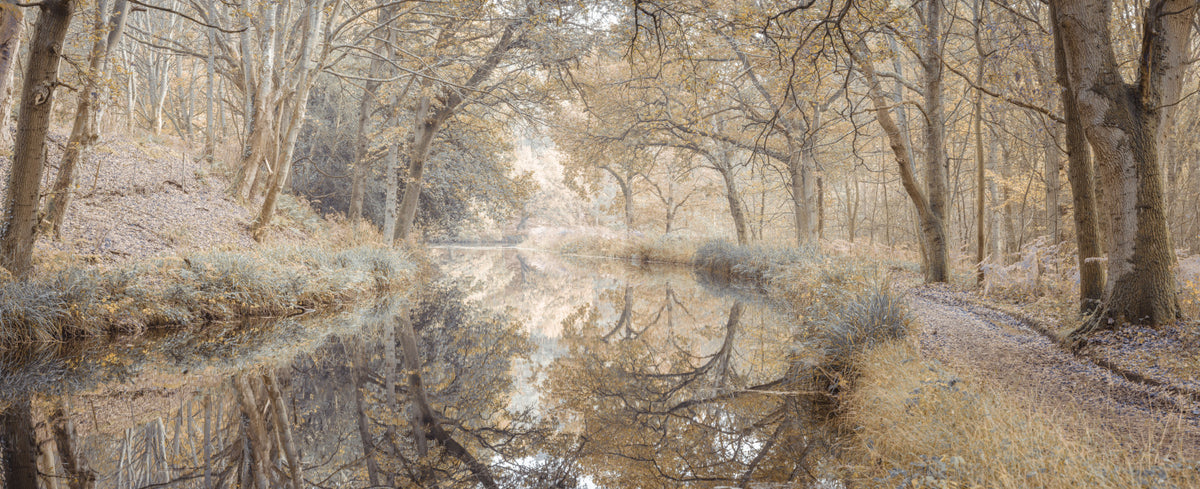 Murale del canale autunnale