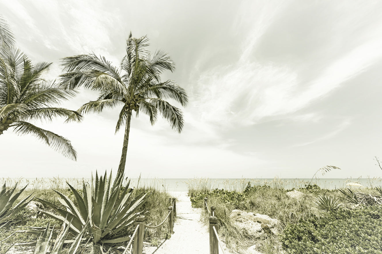 Alone at the beach | Vintage Wall Mural