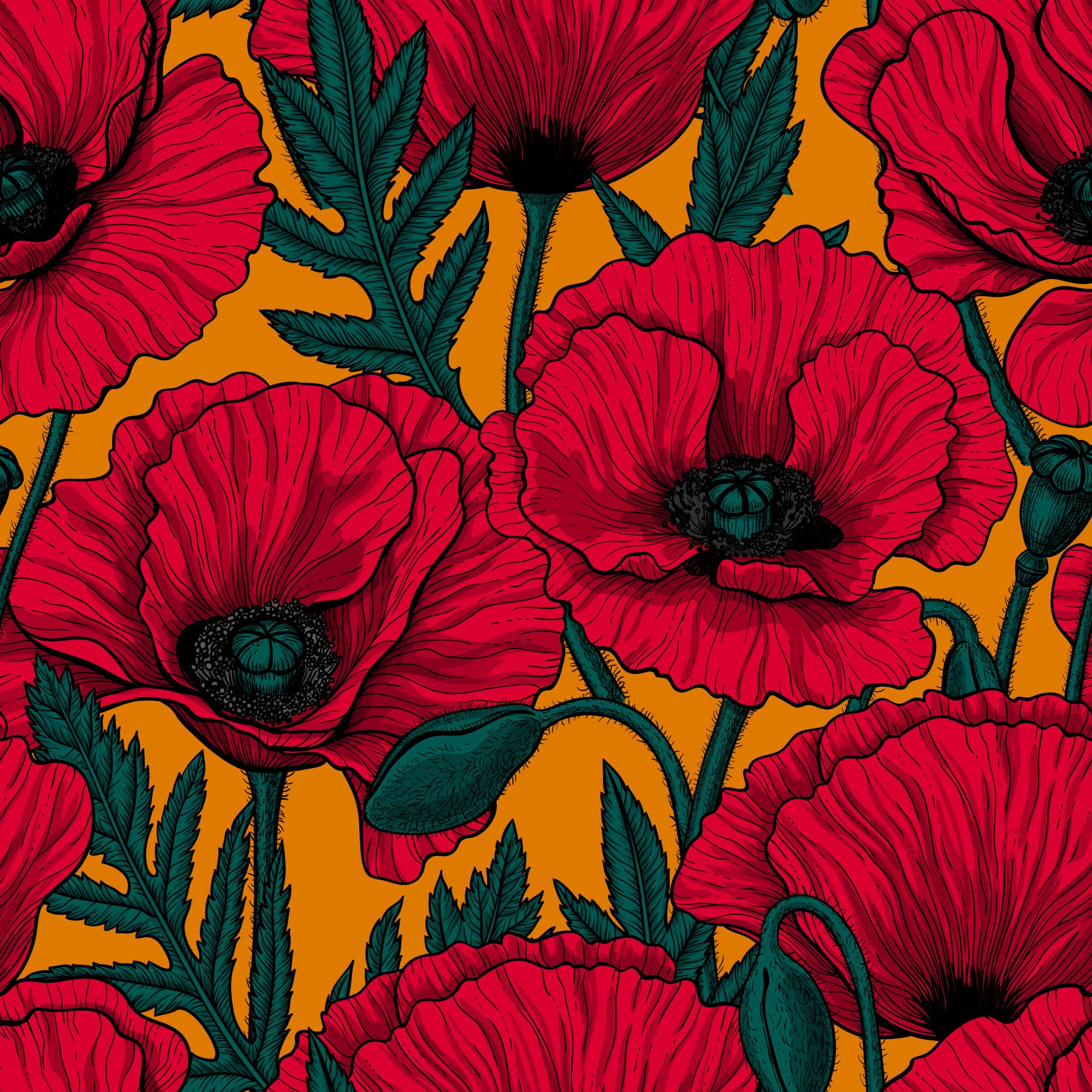 Red poppies on orange Wallpaper⁠