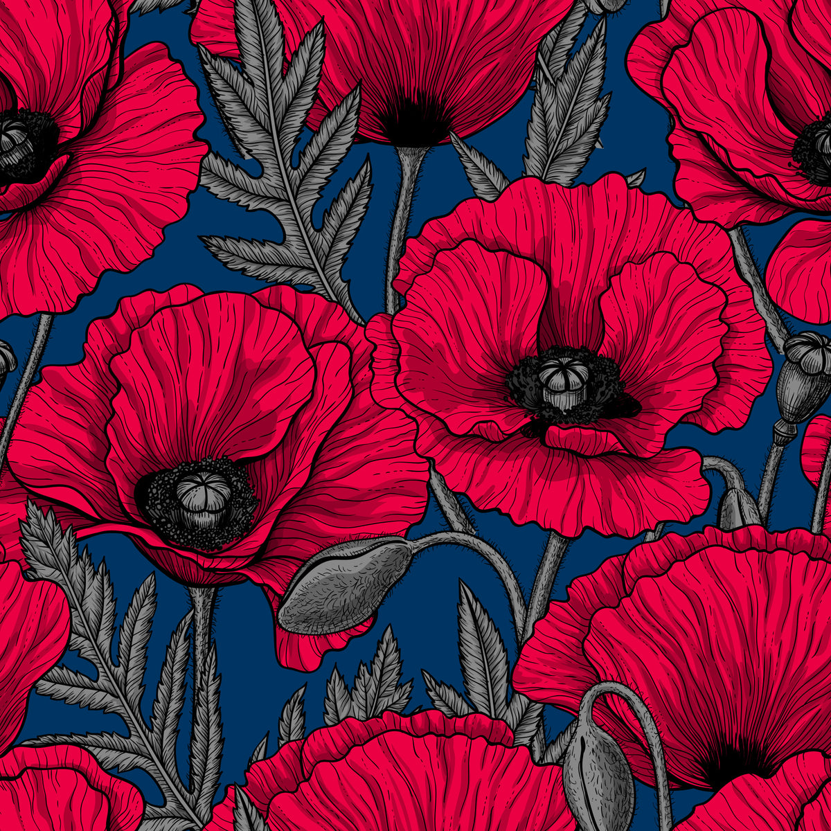 Rote Mohnblumen auf dunkelblaues Tapete⁠ in your room — zoomed
