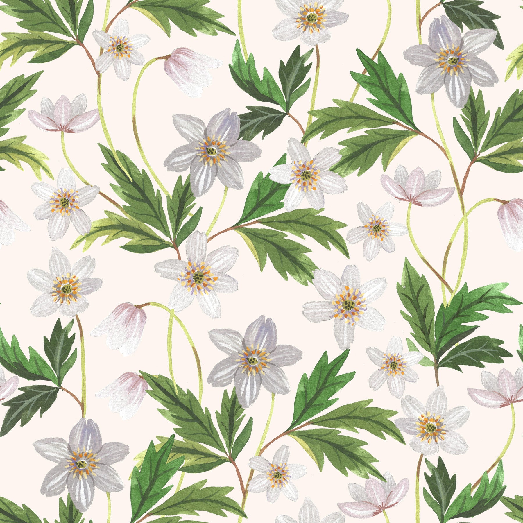 Wood Anemone on White Wallpaper⁠ in your room — zoomed