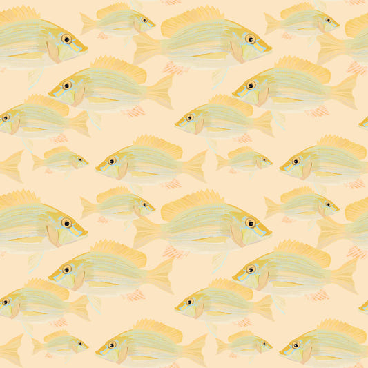 Fish Pattern1 papier peint⁠