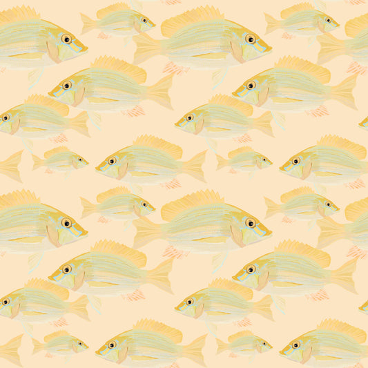 Fish Pattern1 papier peint⁠
