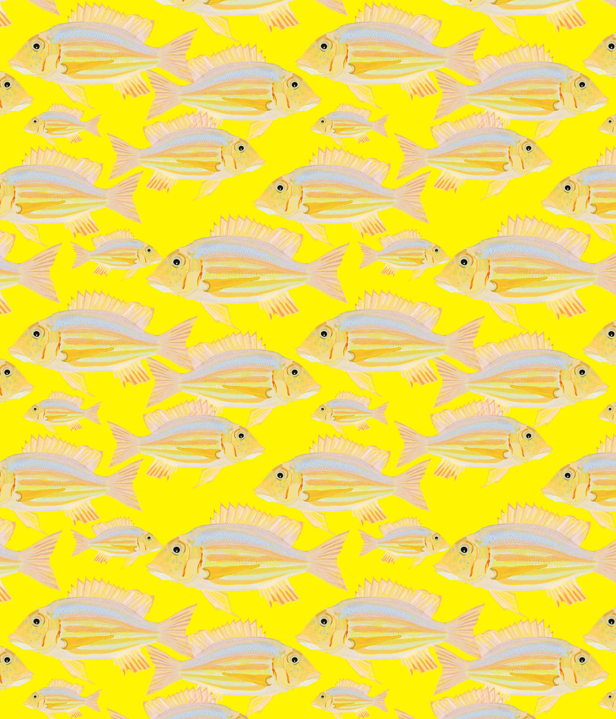 魚の壁紙⁠