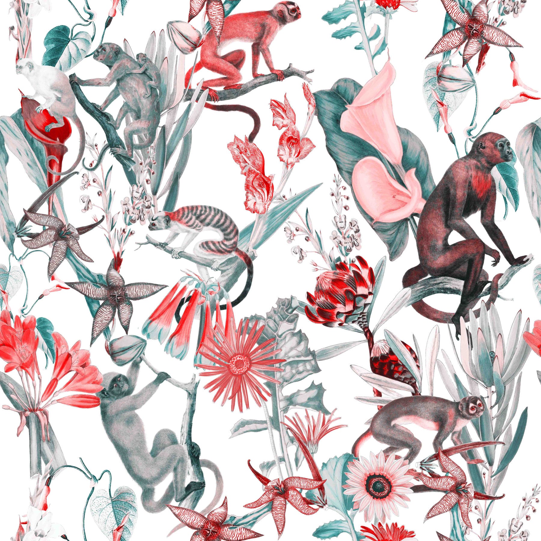 Wallpaper Hakuna⁠