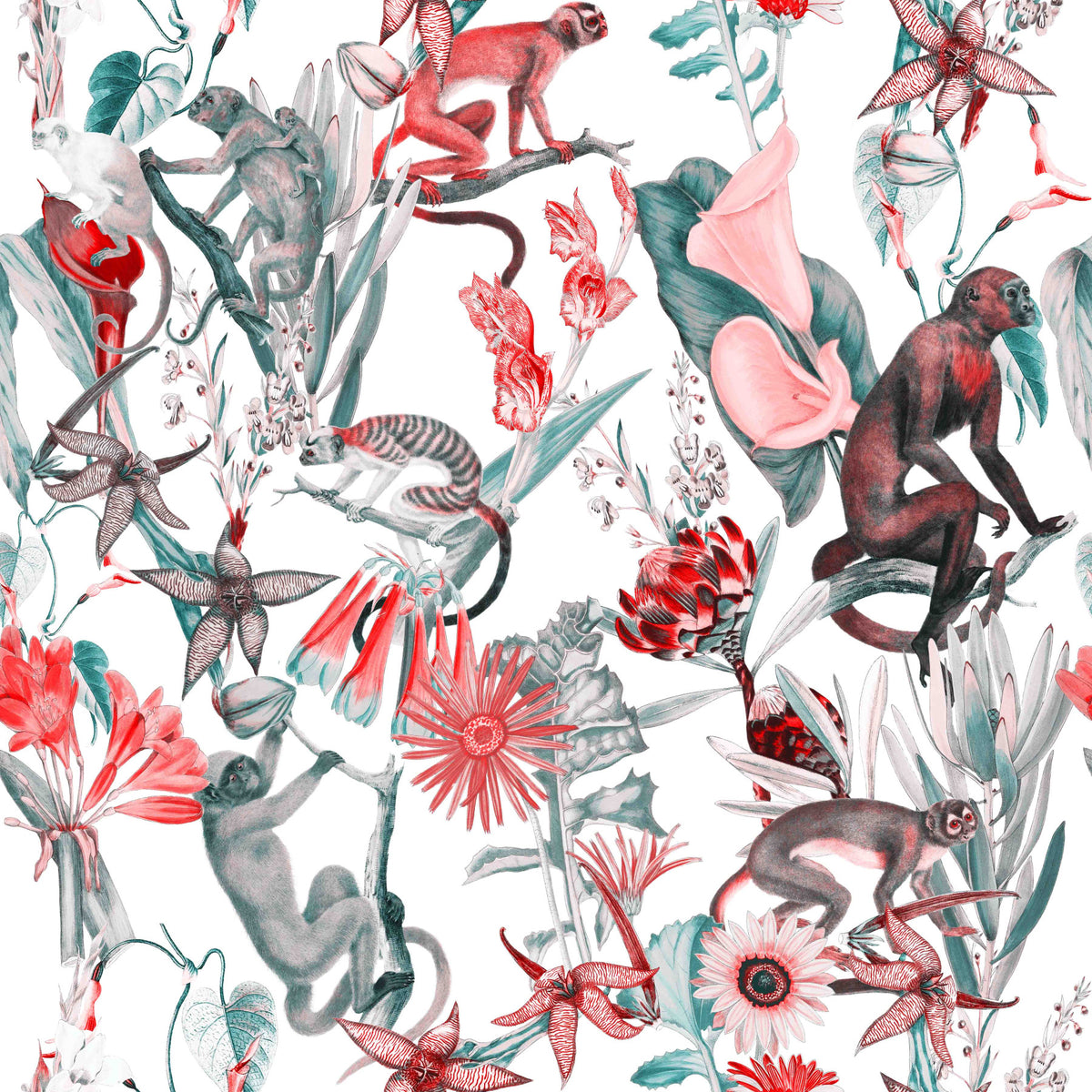 Fond d'écran Hakuna⁠ in your room — zoomed