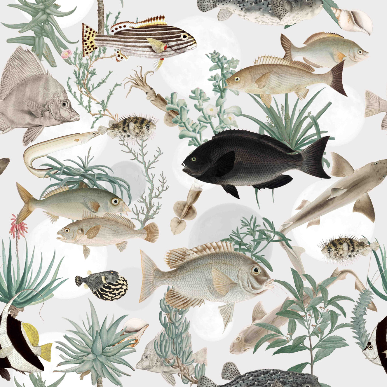 Fond d'écran océanique⁠