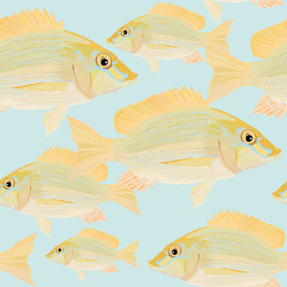 Bream di sabbia - Il pesce 6 sfondi⁠ in your room