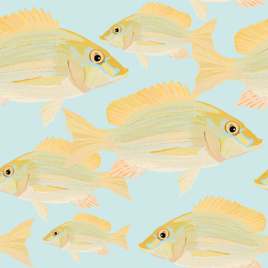 Sand Bream - The Fish 6  Wallpaper⁠