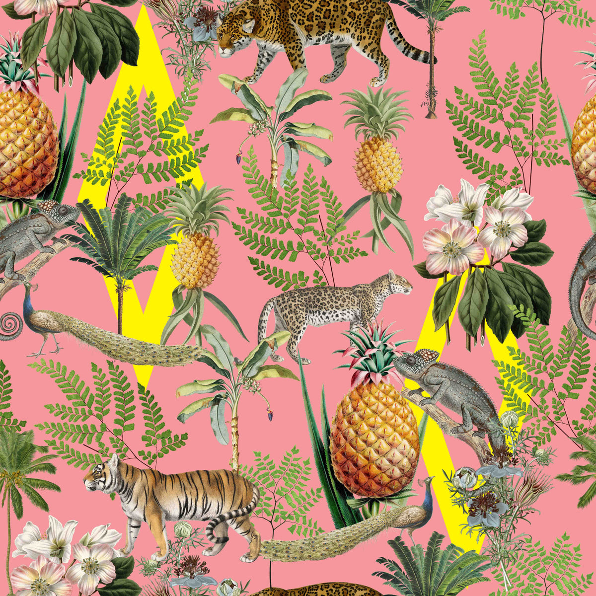 Wild Savana 02 Imagini de fundal in your room — zoomed