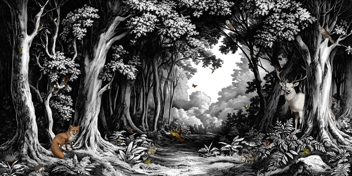Into the Forest - Black & White Wall Mural in your room — zoomed