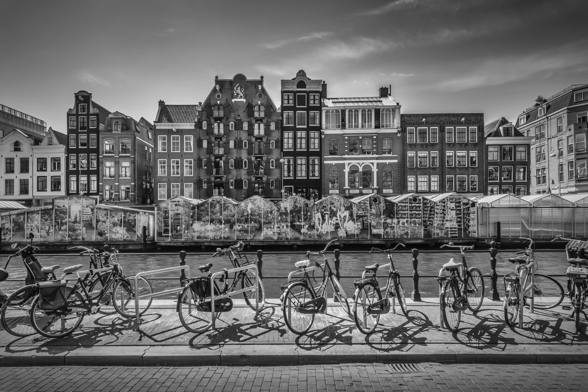Amsterdam Singel Canal med Flower Market | Monokrom vægmaleri in your room — zoomed