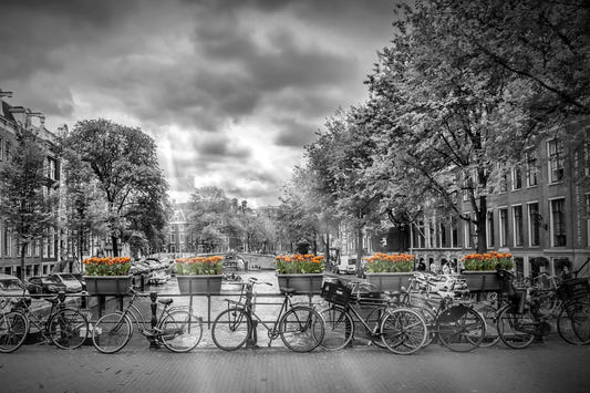 Herengracht Amsterdam Wall Mural