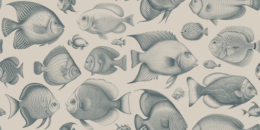 School of Uncanny Fish - Tapeta turkusowa i piaskowca⁠