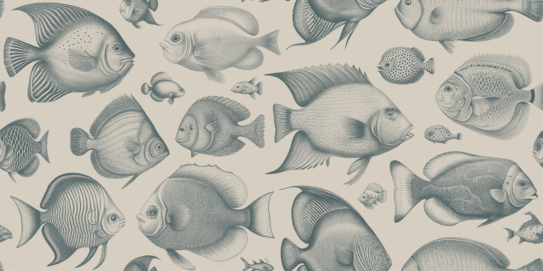 École de poisson étrange - Fond d'écran Teal & Sand⁠ in your room — zoomed