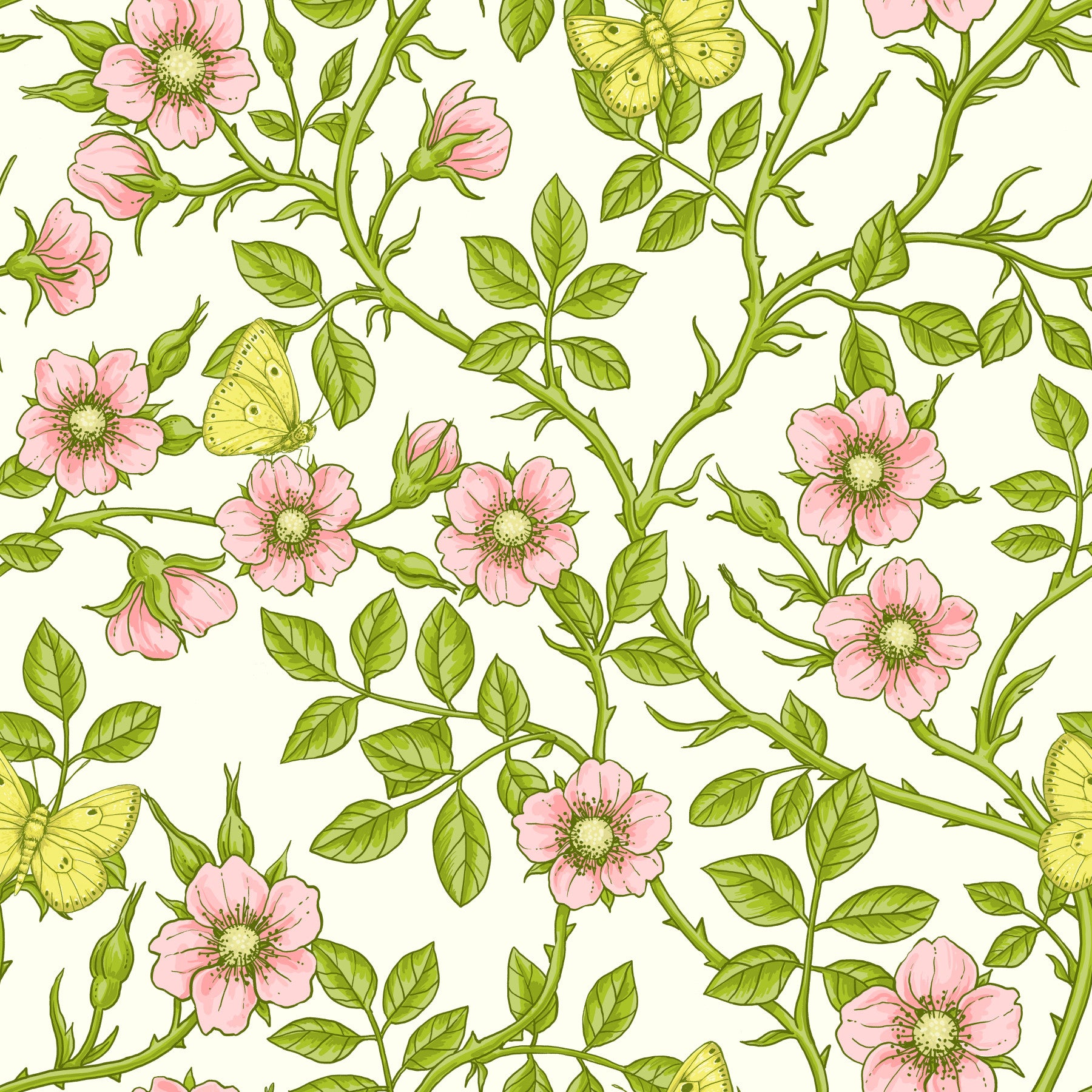 Wild roses and butterflies Wallpaper⁠