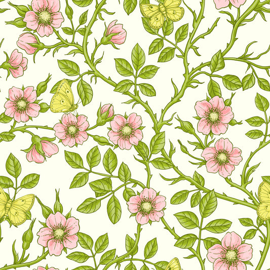 Sfondo di rose selvagge e farfalle⁠