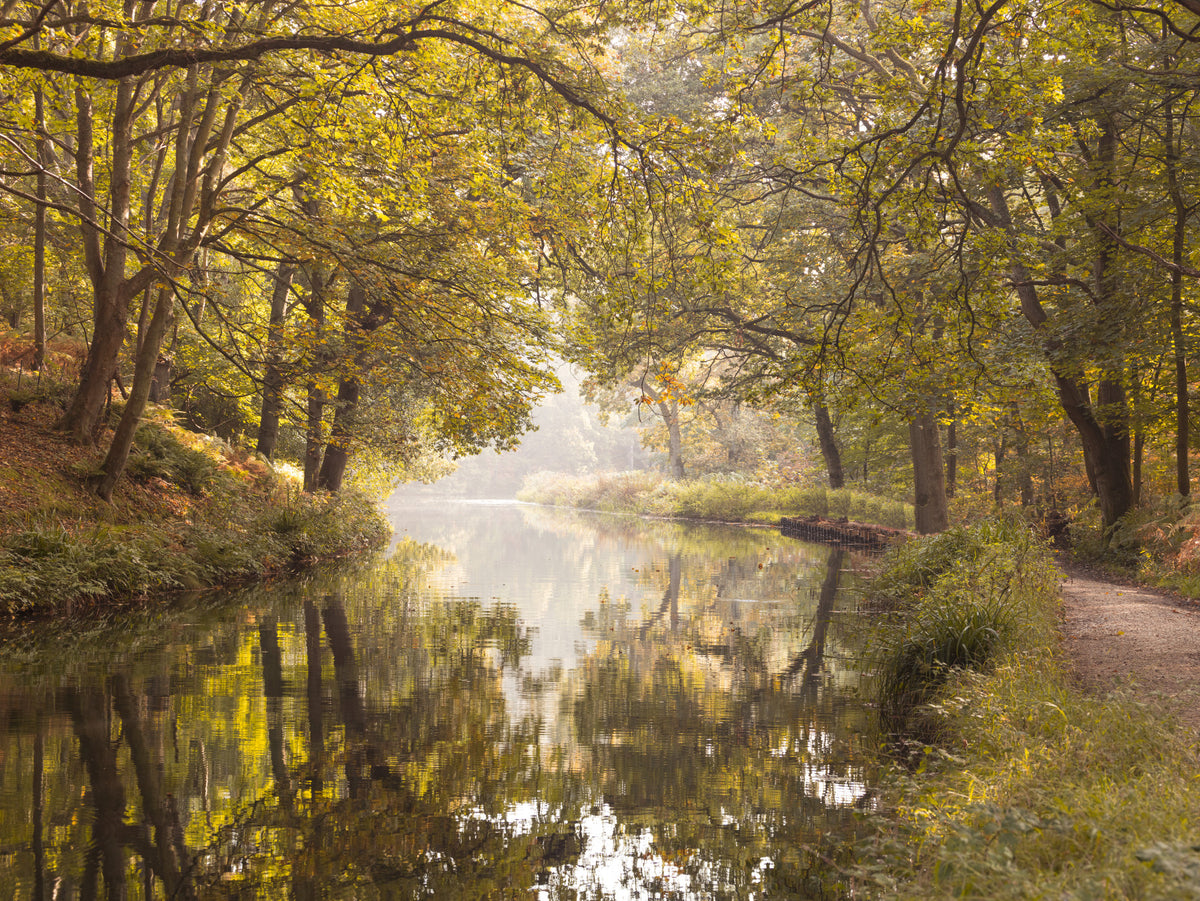 Basingstoke -Kanal -Wandgemälde in your room — zoomed