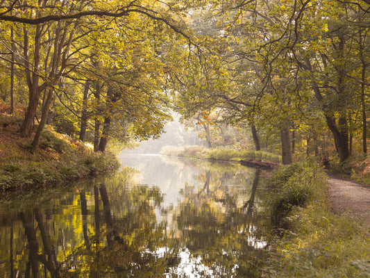 Basingstoke Canal Mural