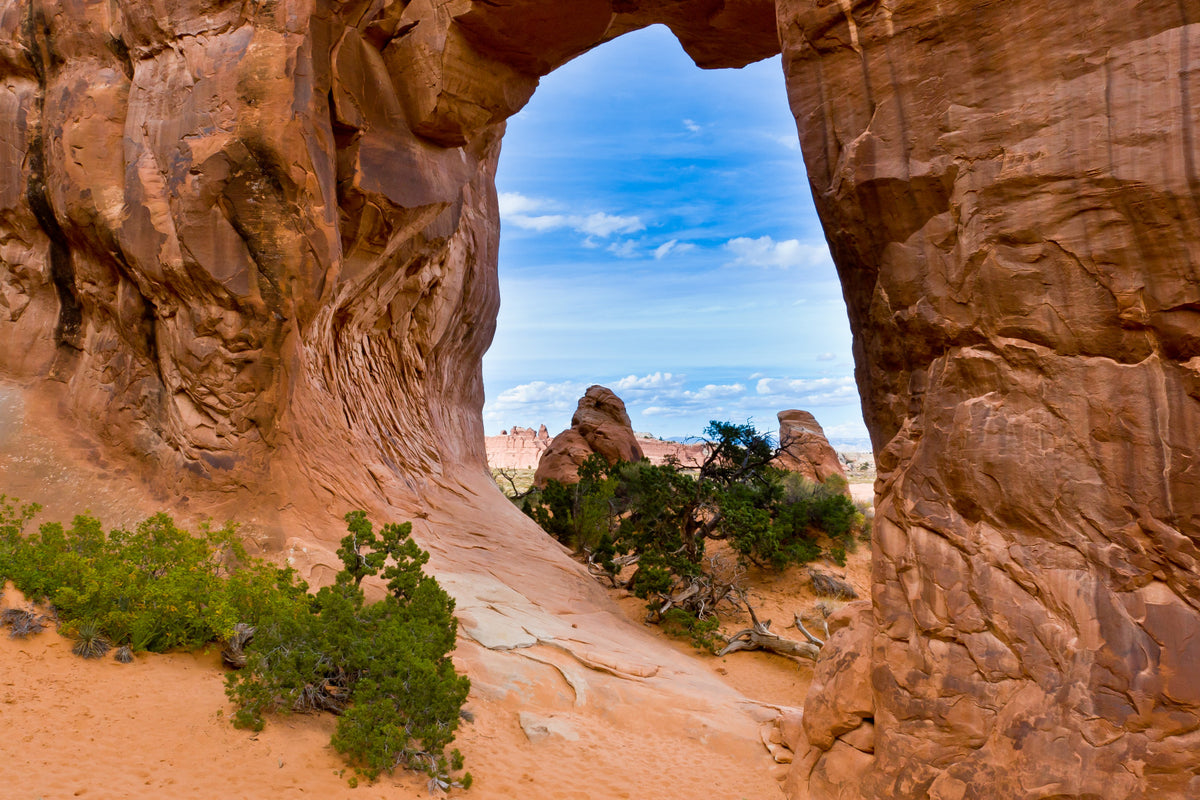 Red Rock Arch  Desert Vista Wall Mural in your room — zoomed