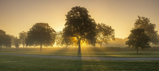 Morgenstrahlen Wandmalerei