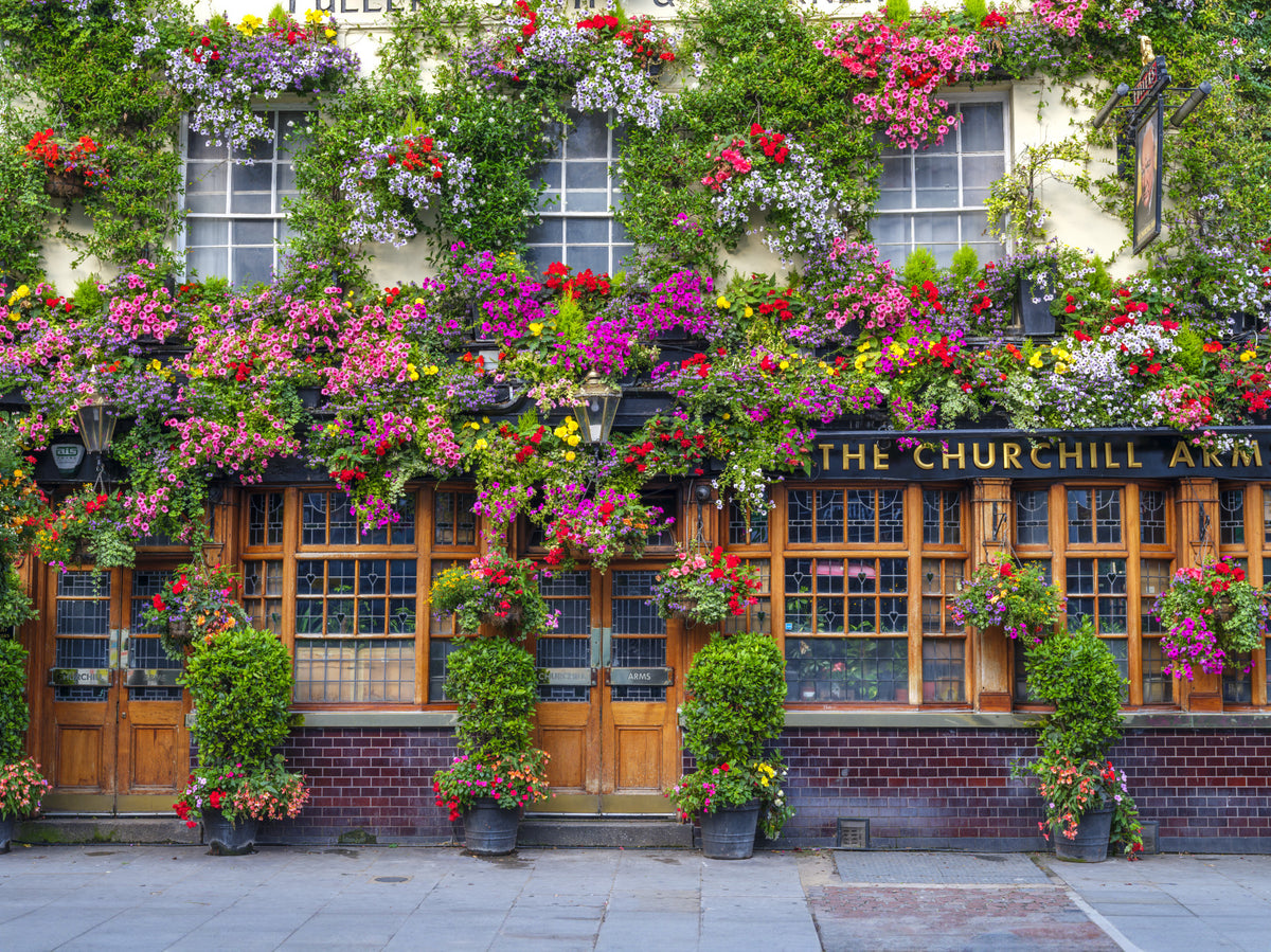 Churchill Arms Pub Wall Mural in your room — zoomed