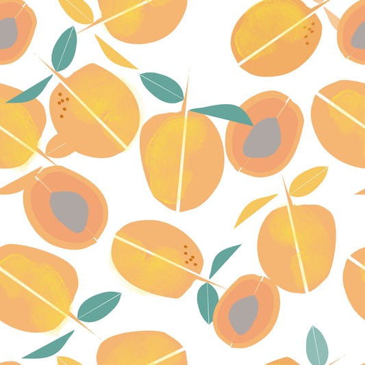 Fond d'écran du verger APRICOT⁠