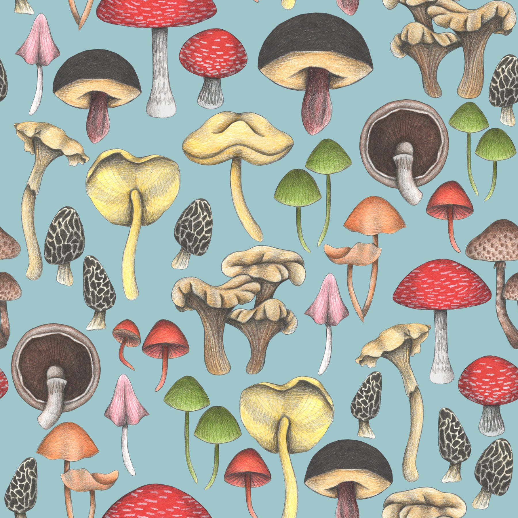 Wilde Pilze Fantasie Wallpaper⁠