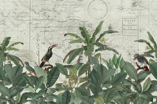 Discover The Tropical Vintage World Wall Mural
