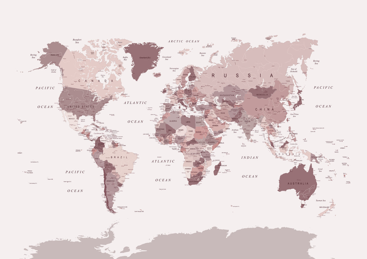 World Map - Blush Pink Cranberry Wall Mural in your room