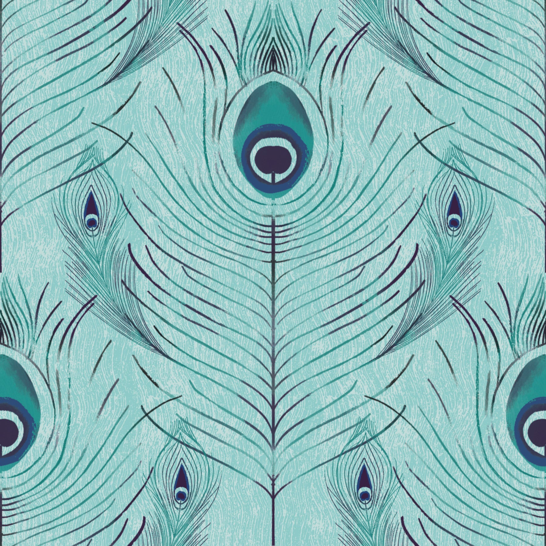 Regal Peacock Feather - Wallpaper blu⁠ in your room — zoomed