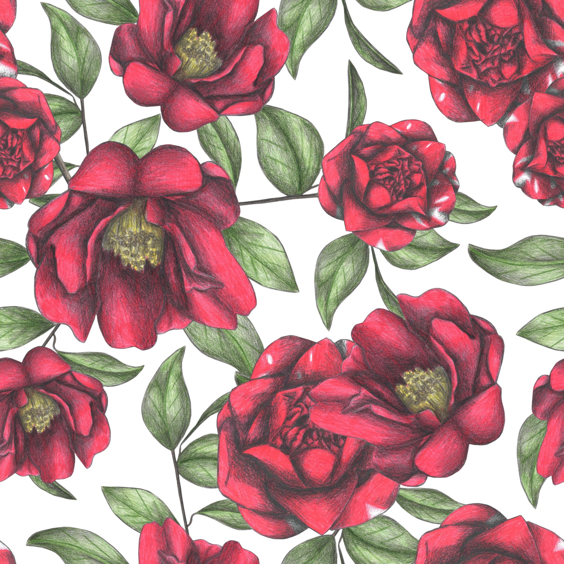 Blühende Kamelien Wallpaper⁠