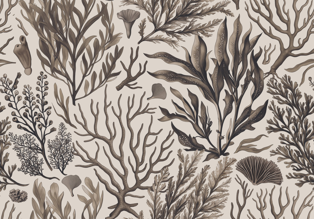 Océan mystique sous-marin feuillage jardin monochrome beige peint beige⁠ in your room — zoomed