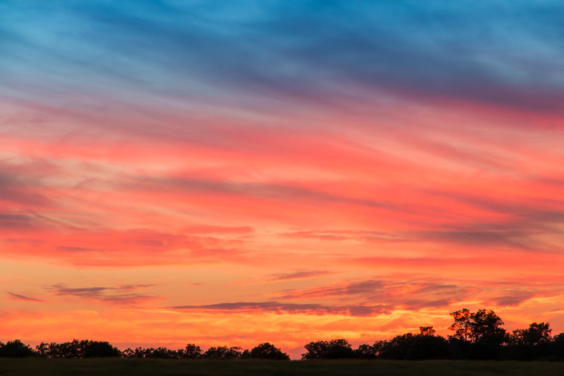 Ethereal Sunset at Countryside  Wall Mural
