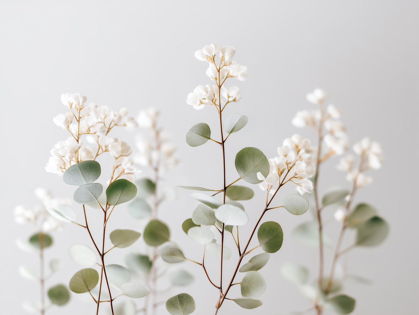 Flüsterung weiße Blumen Wandmalerei
