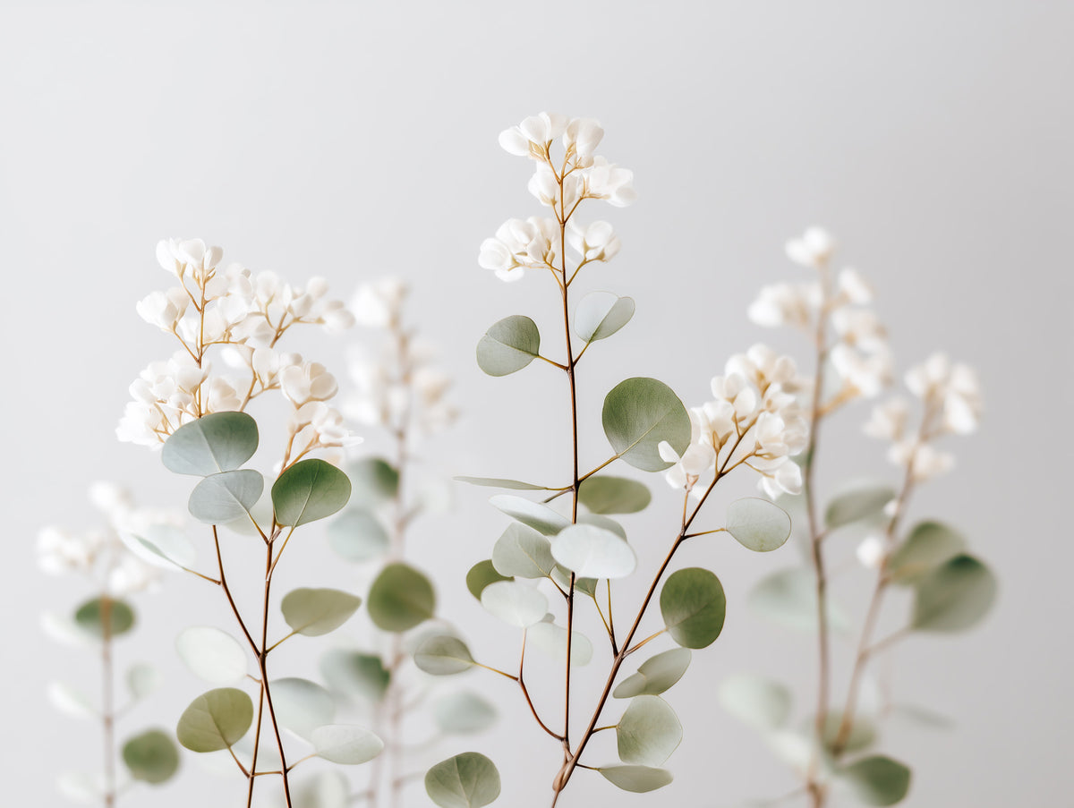 Flüsterung weiße Blumen Wandmalerei in your room — zoomed