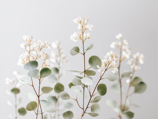 Flüsterung weiße Blumen Wandmalerei