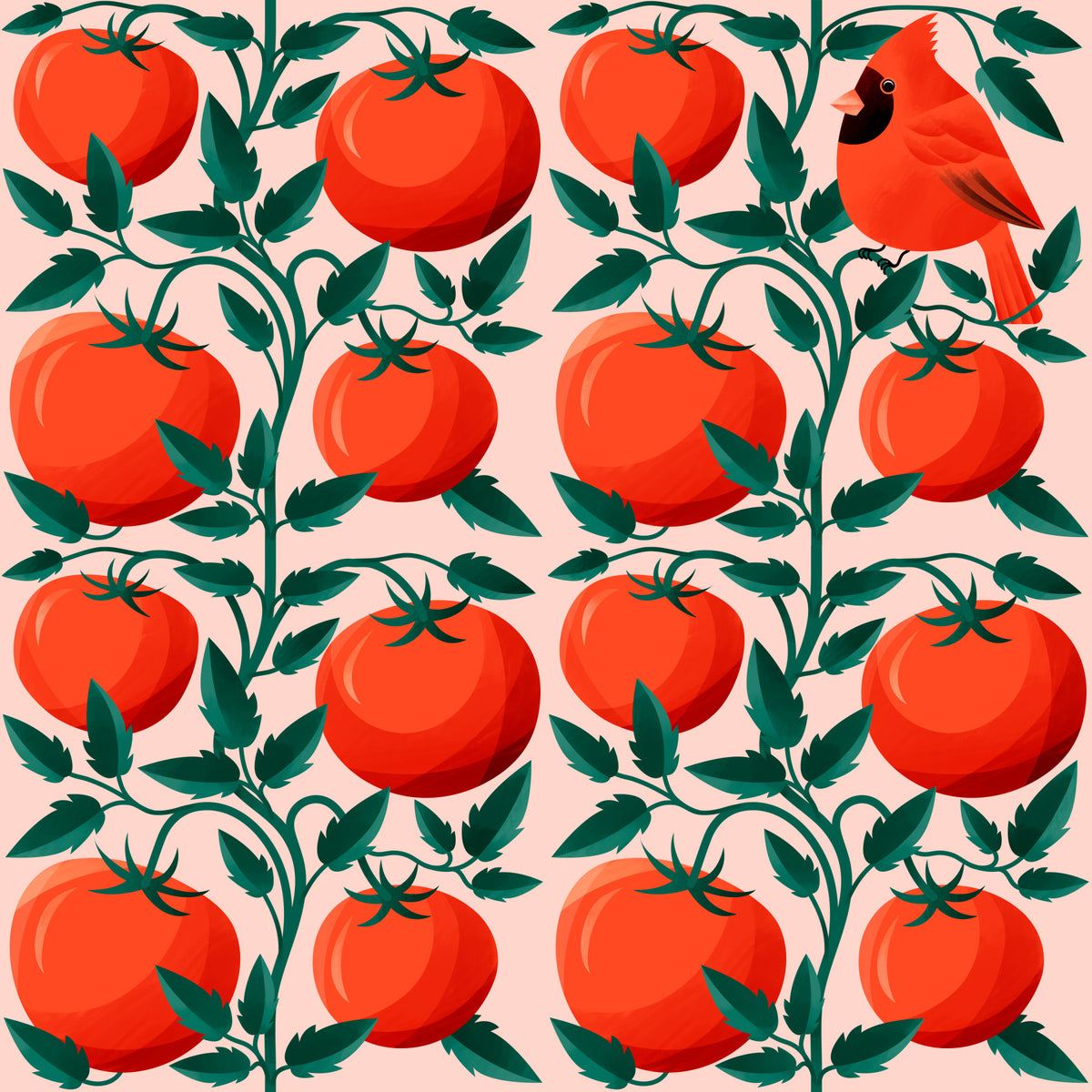 Kardinal in Tomaten Wallpaper⁠ in your room — zoomed
