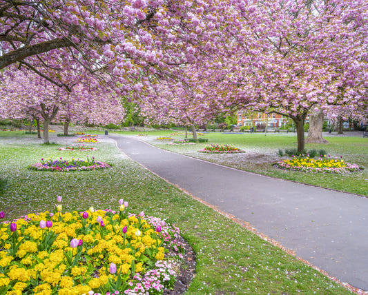 Park Prettyness Wall Mural