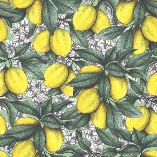 Under the Lemon Tree Wallpaper⁠