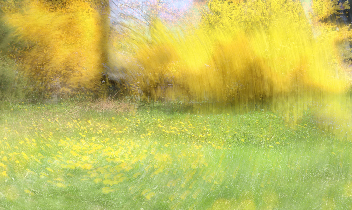 Golden Meadow Résumé Art - Nature vibrante Paysage Print Mur Mural
