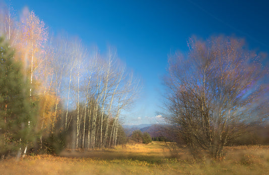 Herbstlandschaftsfotografie - ruhige Bäume unter blauem Himmel - Natur Wandkunst Wandmalerei