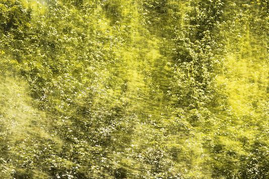 Art de la nature abstraite verdoyante