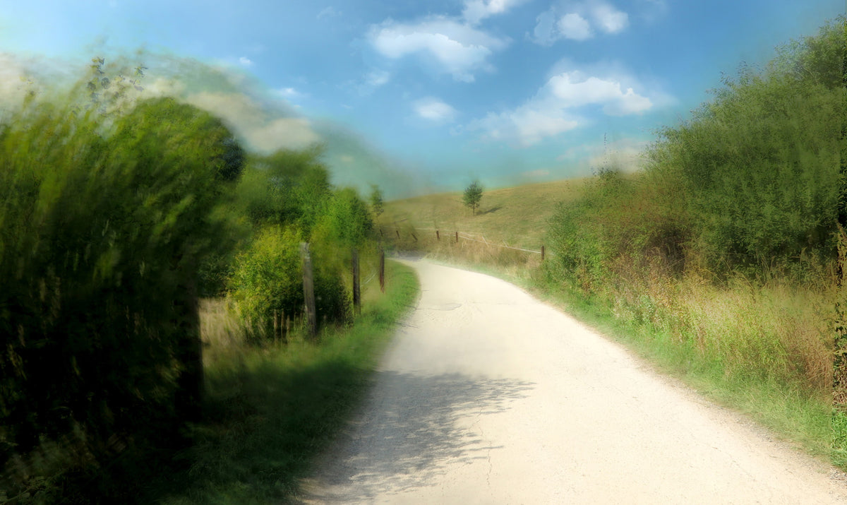 Serene Country Pathway Art Print | Rauhallinen maisema valokuvaus seinämaalaus in your room