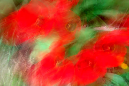 Résumé Impression d'art floral - Rouge et verte dynamique Photographie murale Mural